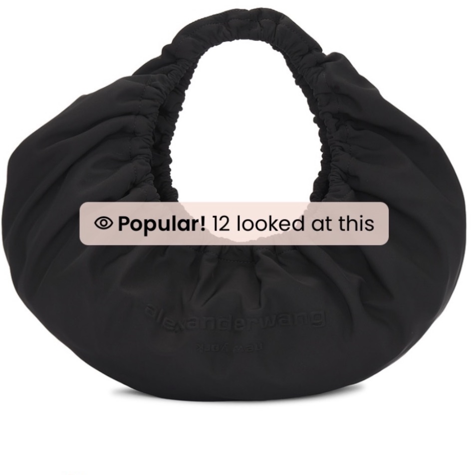 Alexander Wang Black Hobo Bag